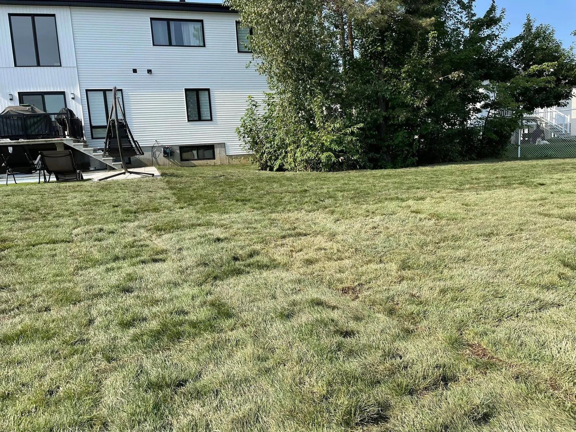 Une grande pelouse verte luxuriante devant une maison blanche.