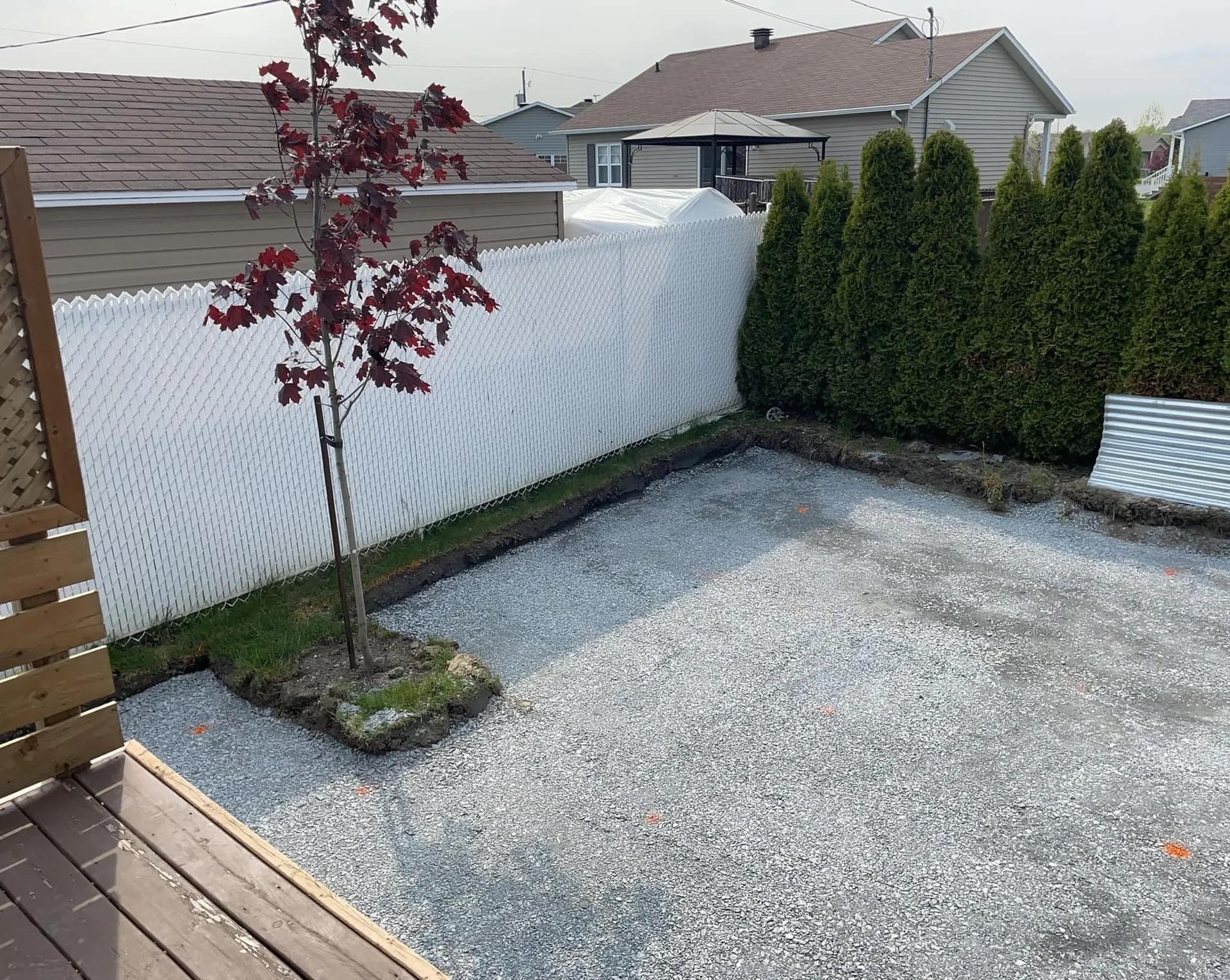 Un petit arbre se trouve au milieu d'une cour de gravier