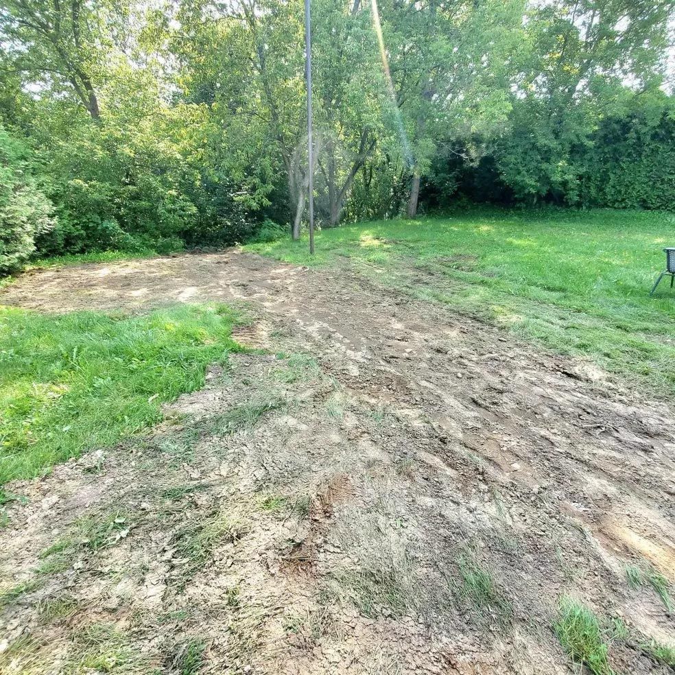 Un chemin de terre traversant un champ herbeux avec des arbres en arrière-plan.