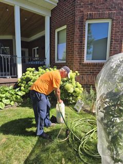 Man spraying plants with hose in backyard next to brick building and covered shrub.