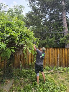 Man trimming overgrown tree in backyard with wooden fence.
