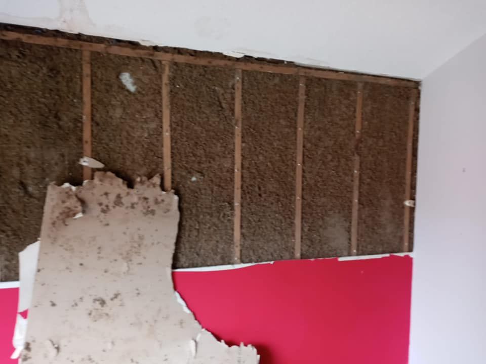Wall with exposed insulation between wooden studs, part red, part white, and part torn.