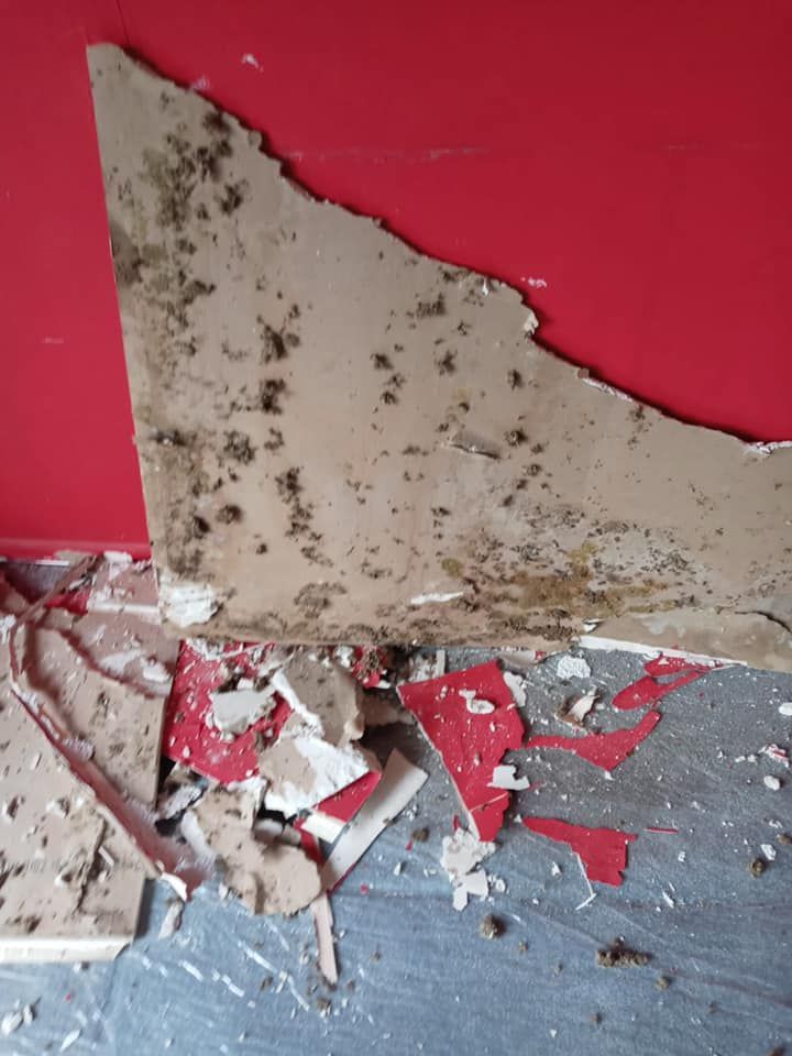 Red wall with peeling, moldy drywall and debris on the floor.