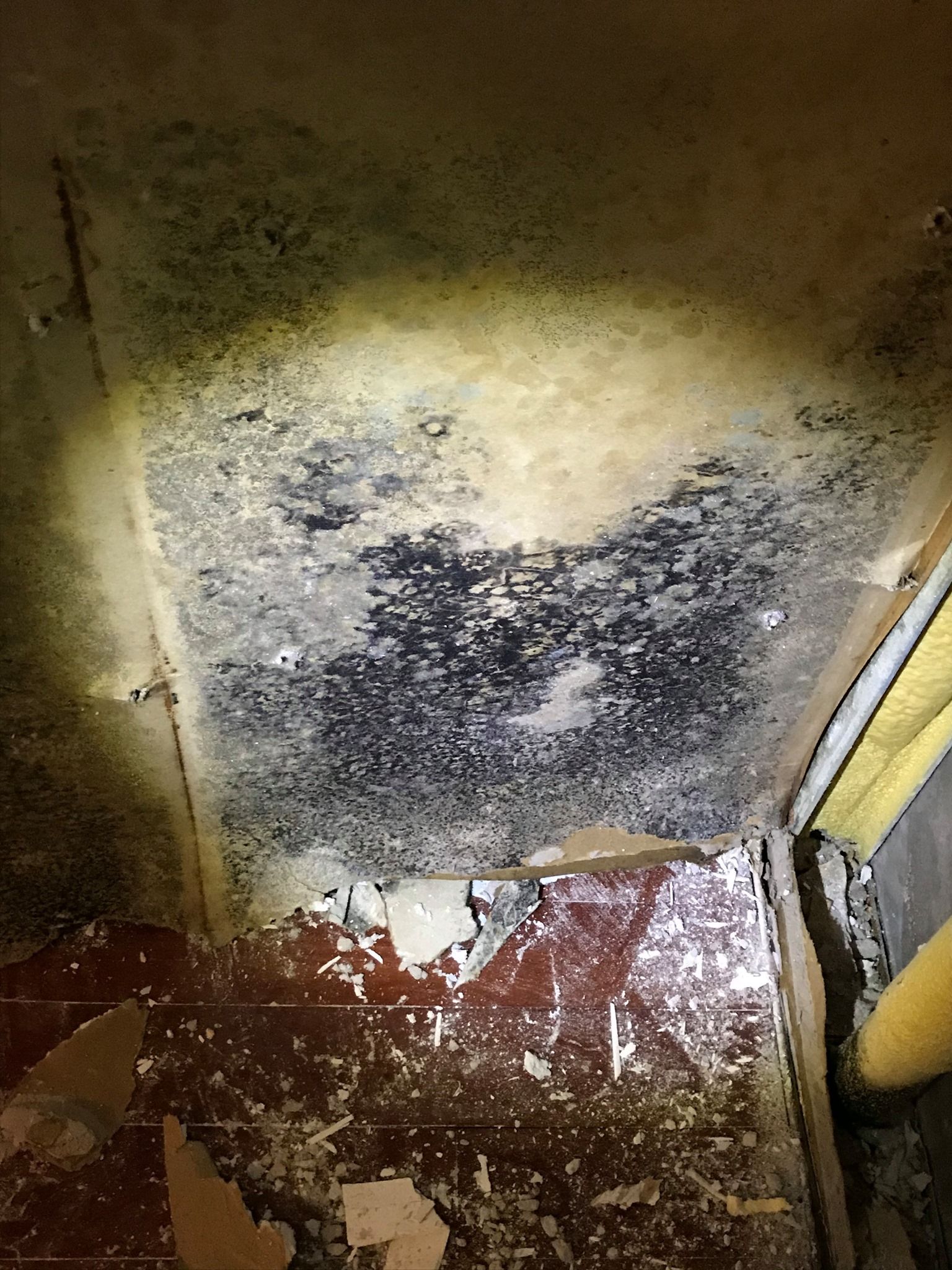 Mold infestation on a ceiling and walls; peeling paint and damaged flooring present.