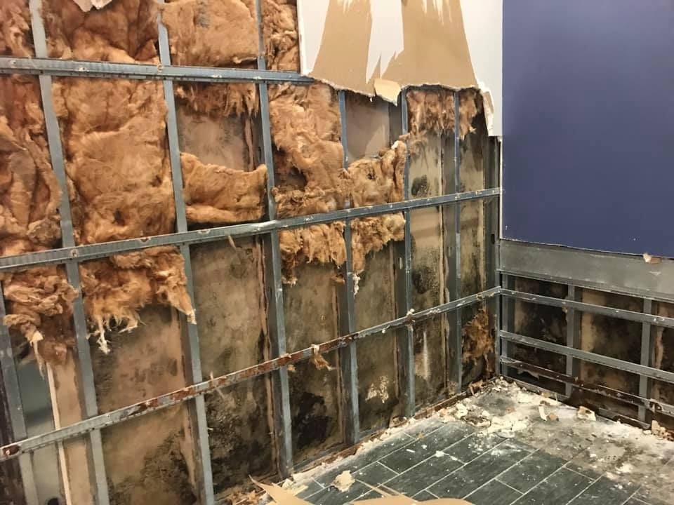 Damaged interior wall revealing insulation and metal studs, with peeling paper.