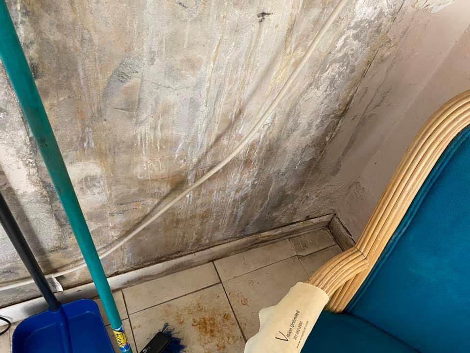 Moldy wall with teal chair, blue dustpan, and green broom.