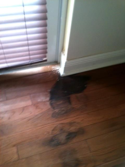 Dark stain on hardwood floor near a window with closed blinds and a white wall with baseboard.