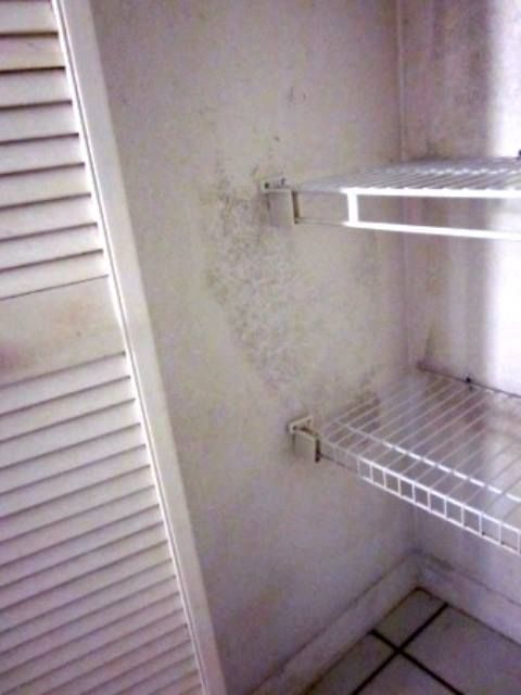 White shelving unit with suspected mold growth on the wall. Slatted door on the left, wire shelves.