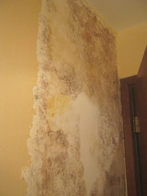 Wall with significant water damage and mold, light and dark patches, near a door.