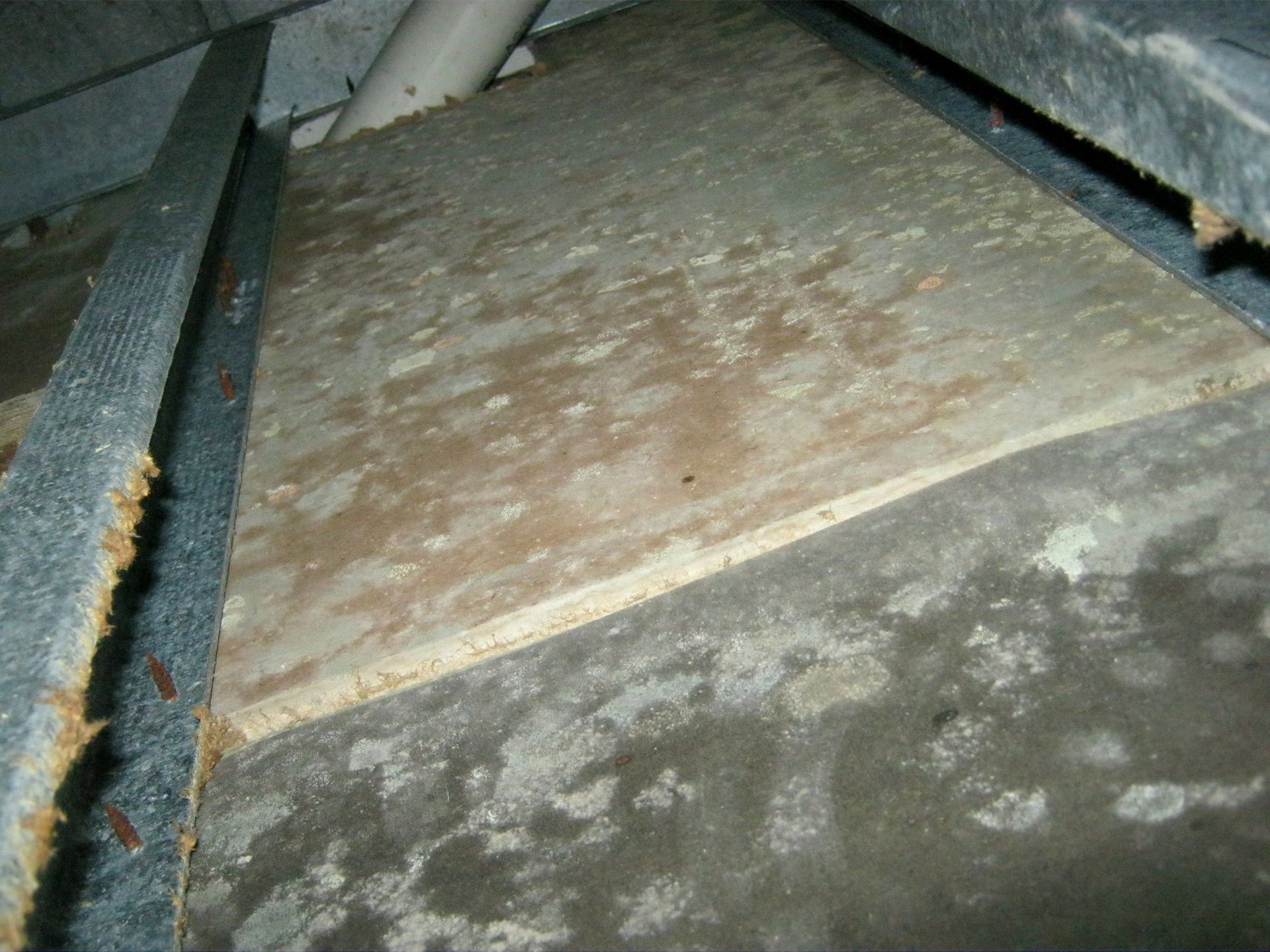Moldy surface in a duct system, with gray and brown discoloration on the wood.