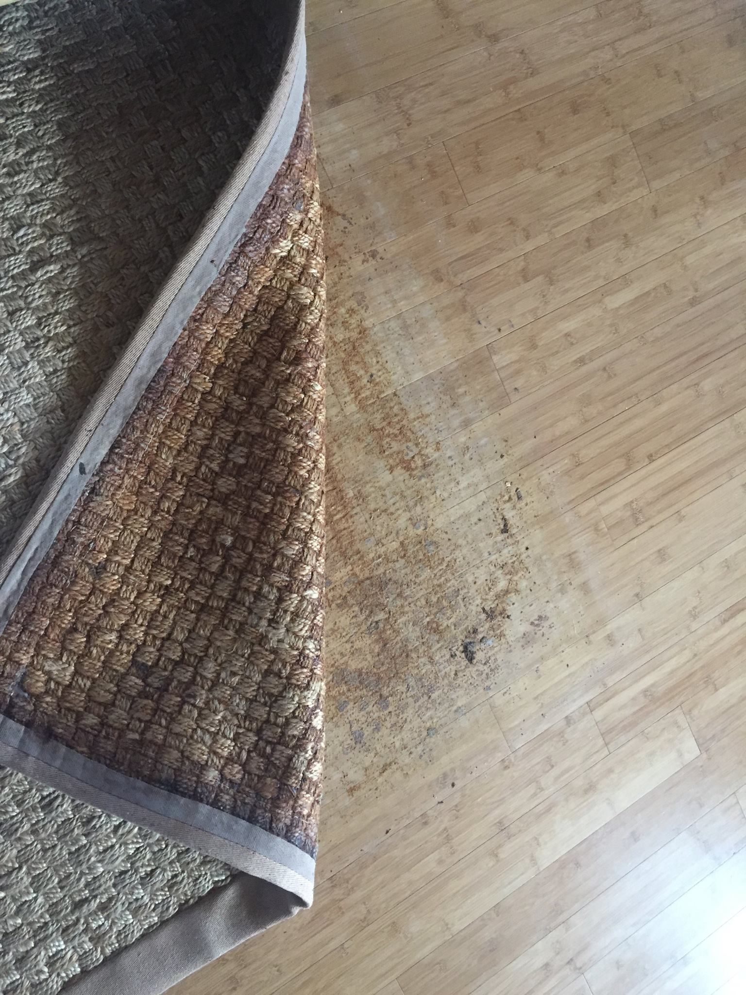 Rug partially lifted, revealing debris on a wooden floor.