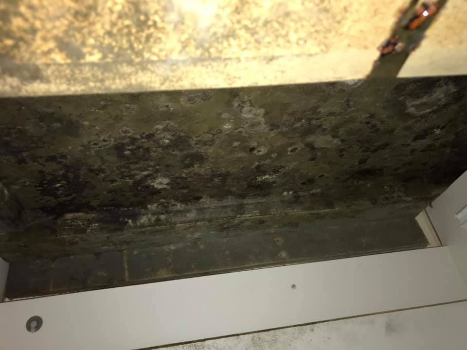 Dark, moldy growth on the underside of a cabinet or shelf; a white trim is visible below.