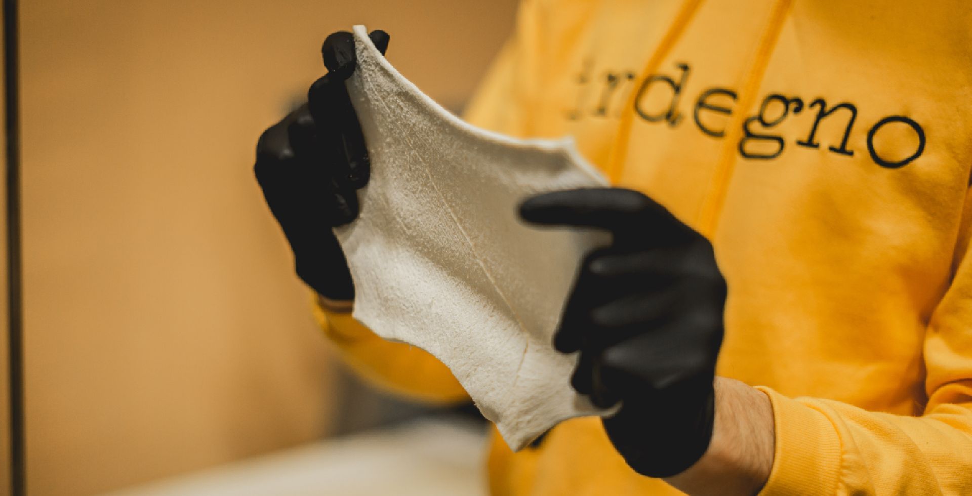 impasto delle crescentine bolognesi 2.0 preparate con il metodo indegno