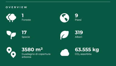 Infografica su sfondo verde che mostra 1 foresta, 9 paesi, 17 specie, 319 alberi
