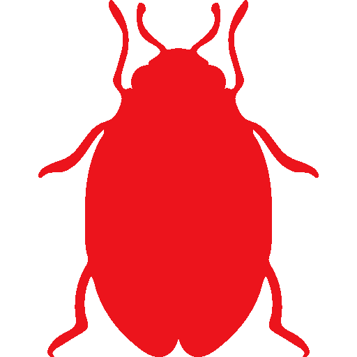 cockroach