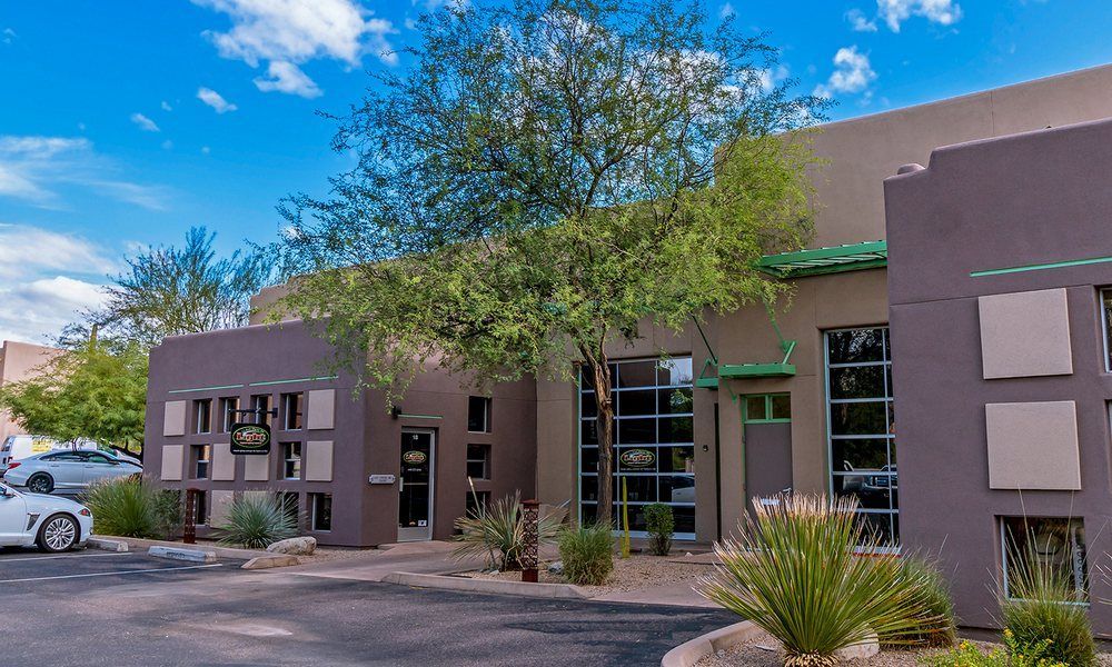 Modern building with large windows and a tree in front. Blue sky.