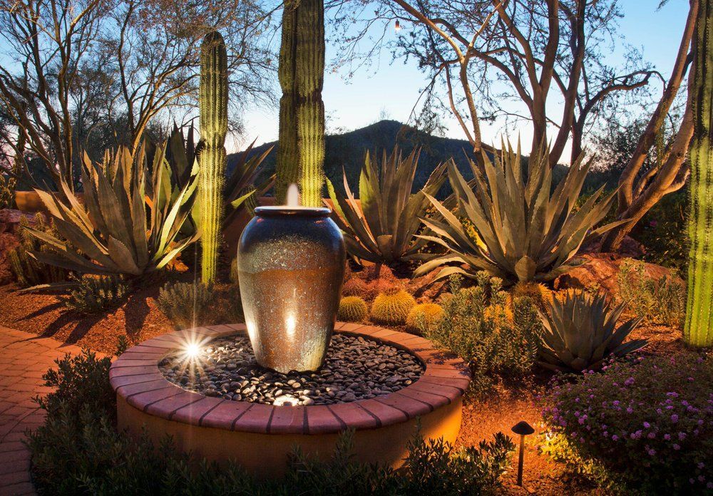 Fountain in desert garden with illuminated cacti and agave plants at dusk.