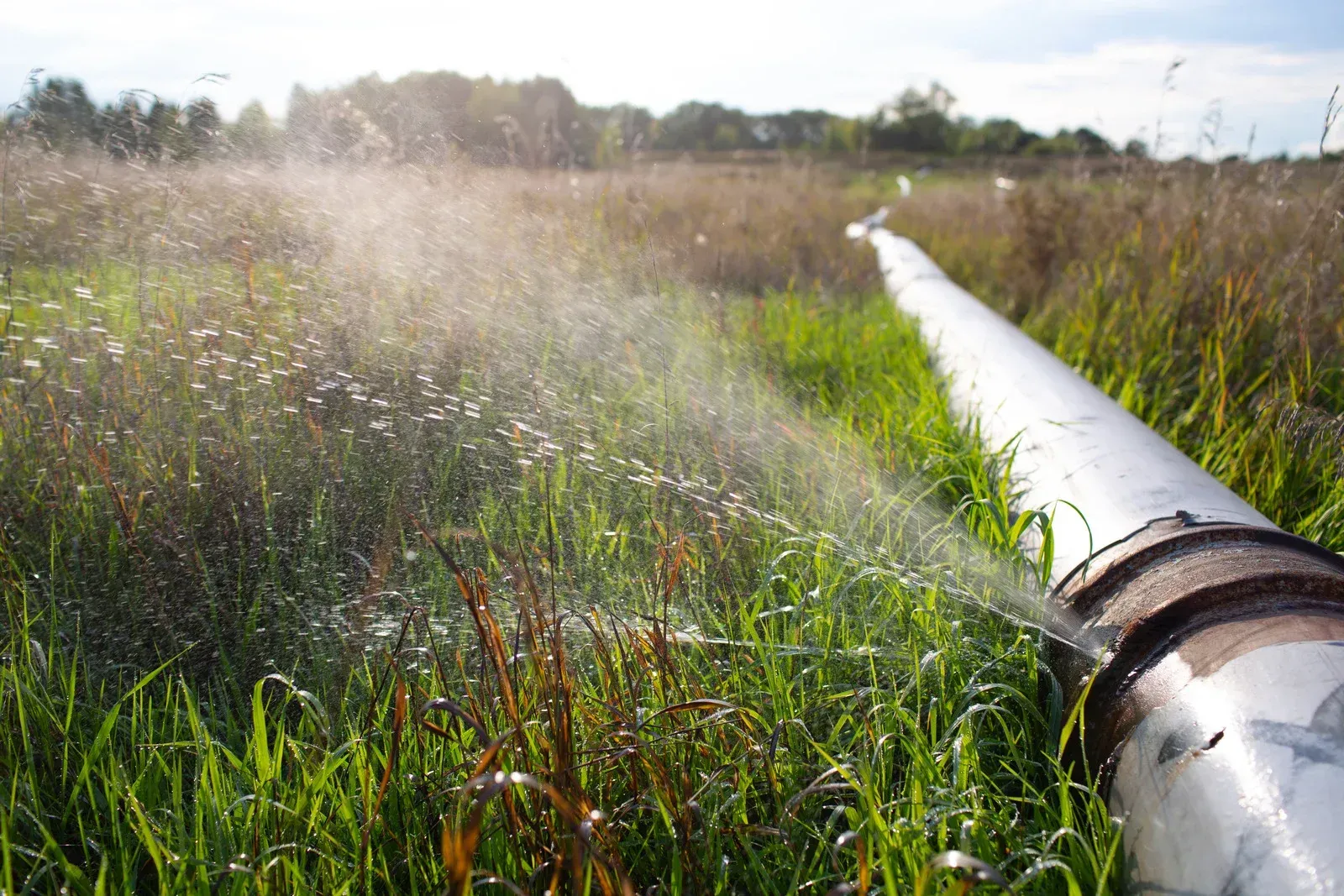 Water leaks from a seam in a metal pipe running through a grassy field.