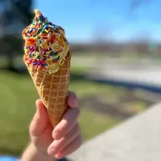 A person is holding an ice cream cone with sprinkles on top.