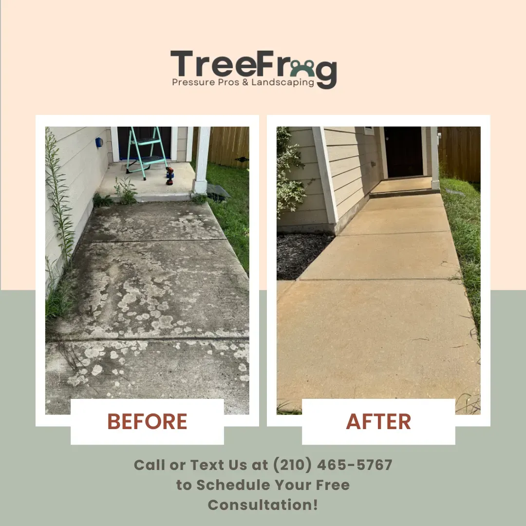 Before And After Picture Of Pathway - San Antonio, TX - TreeFrog Pressure Pros & Landscaping