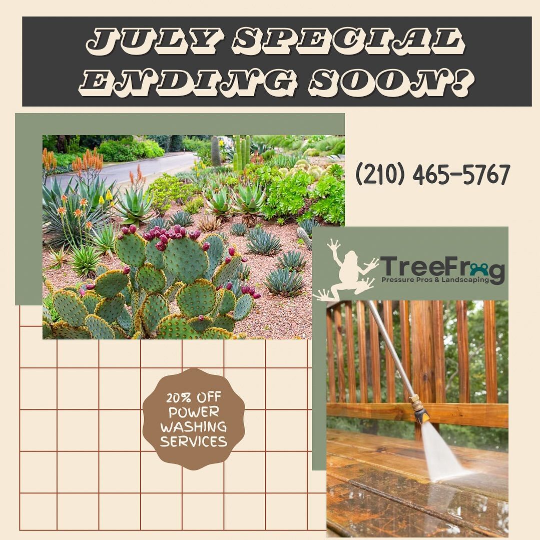 Picture Of Cactus And Deck Cleaning - San Antonio, TX - TreeFrog Pressure Pros & Landscaping