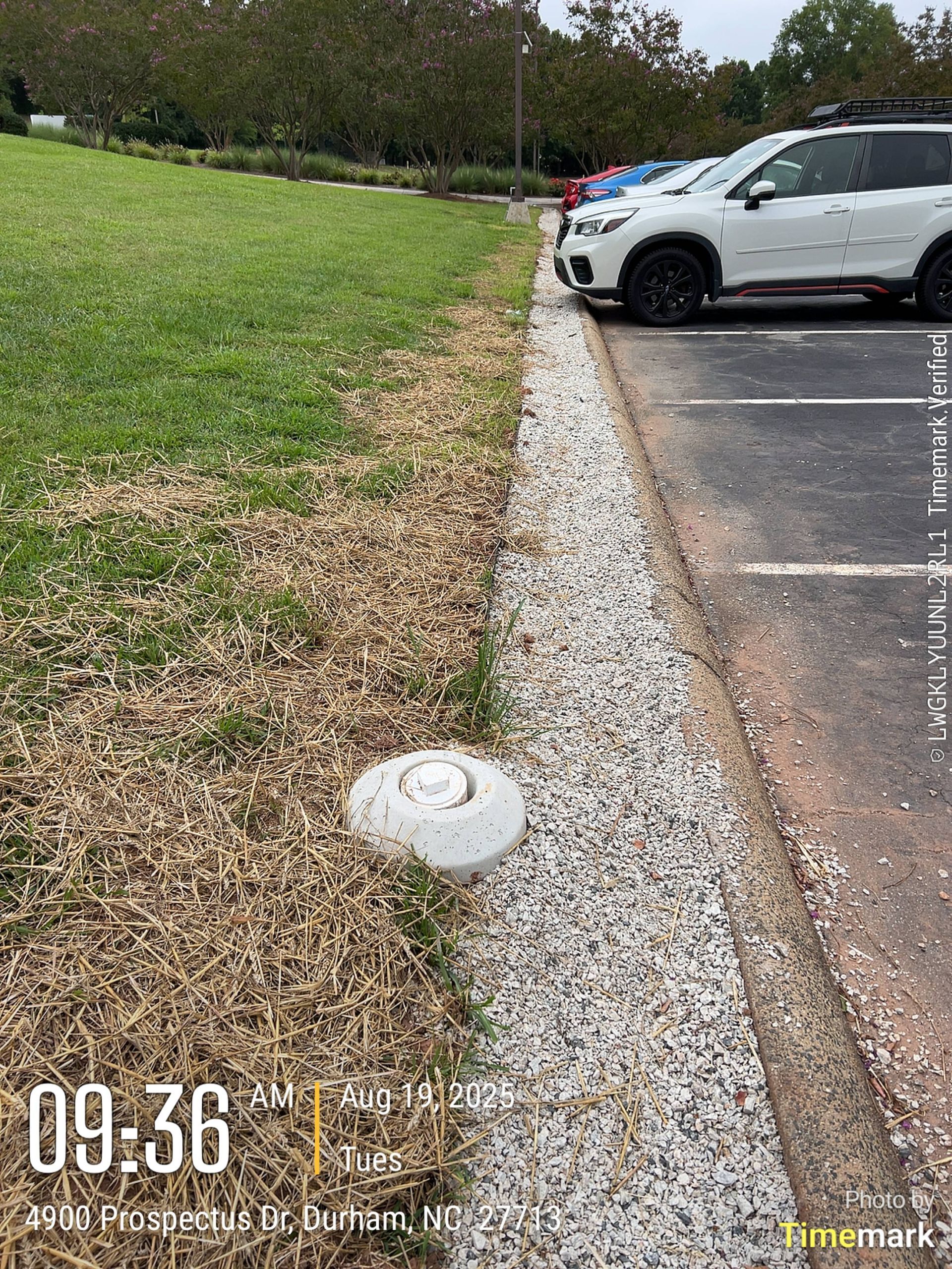 Grass, gravel, and a parking lot with cars; timestamp 09:36 AM.