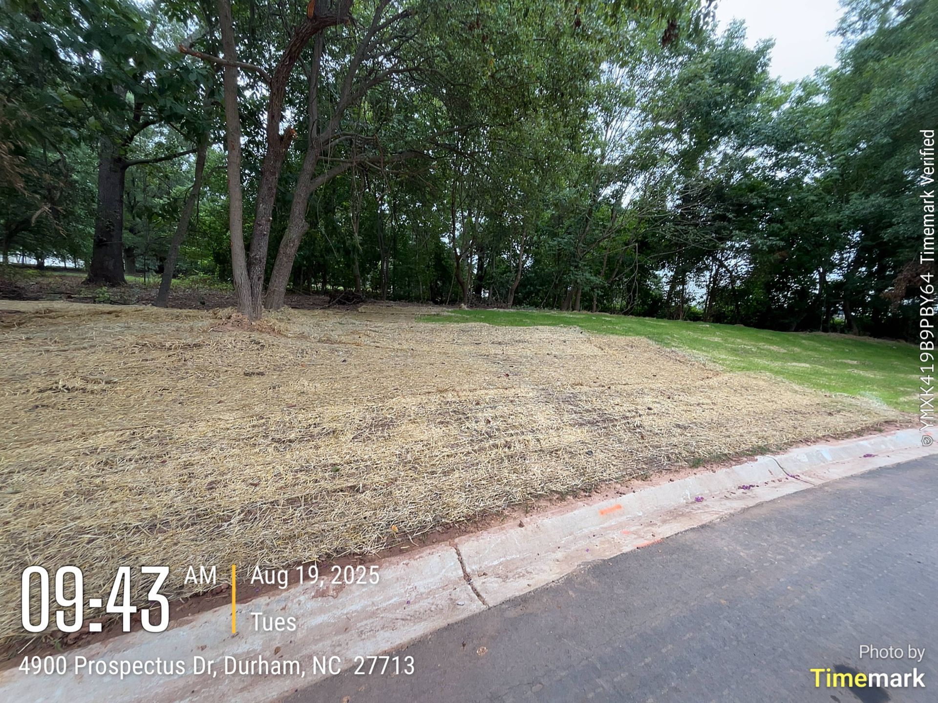 A grassy area covered with straw next to a road with trees in the background.