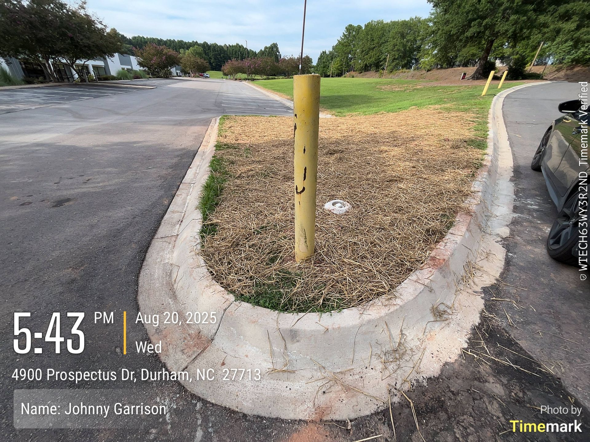 Curved concrete curb with a yellow pole in a mulched area. Durham, NC.