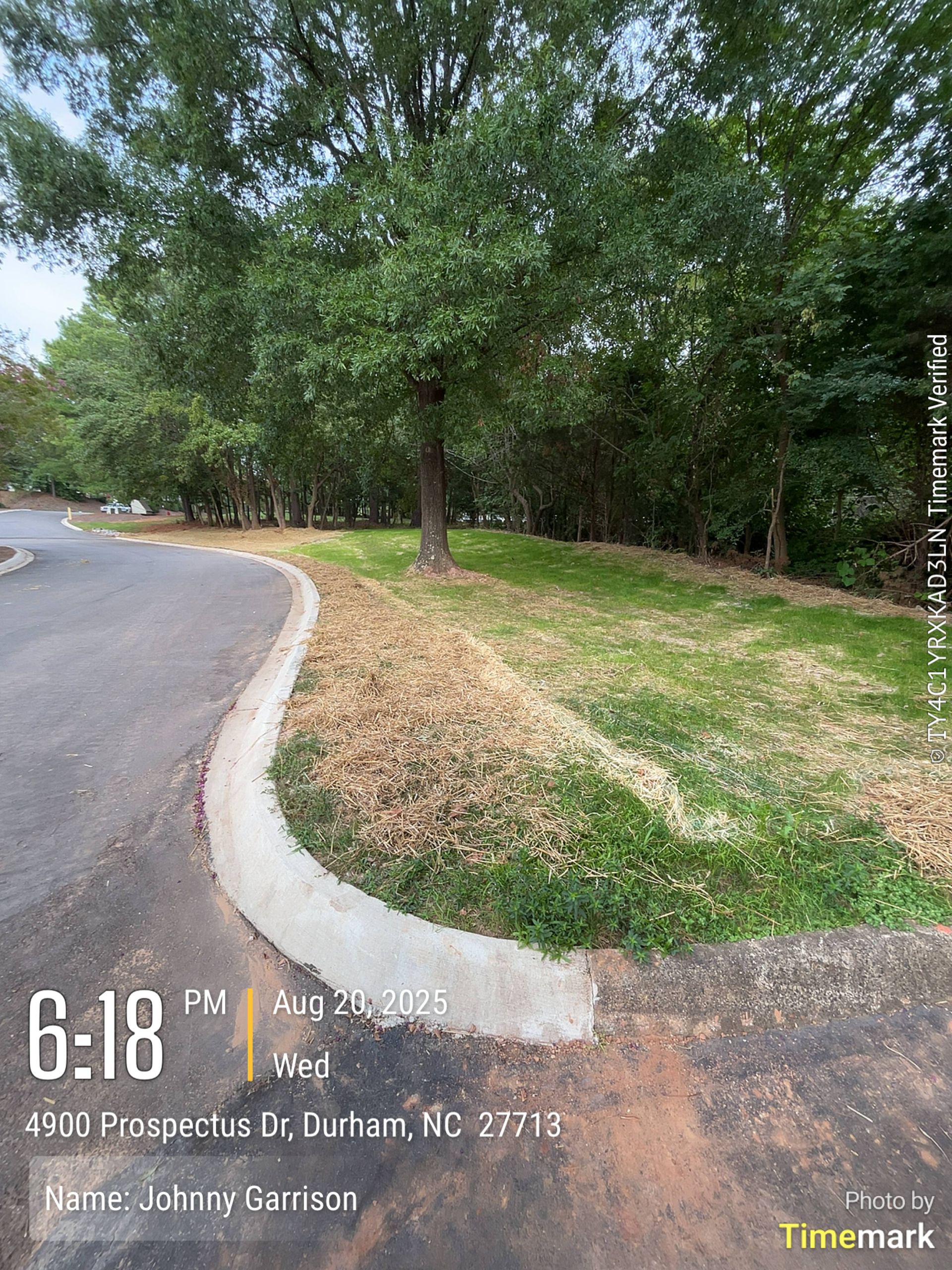 A tree in a grassy area next to a road curb, taken at 6:18 PM in Durham, NC.