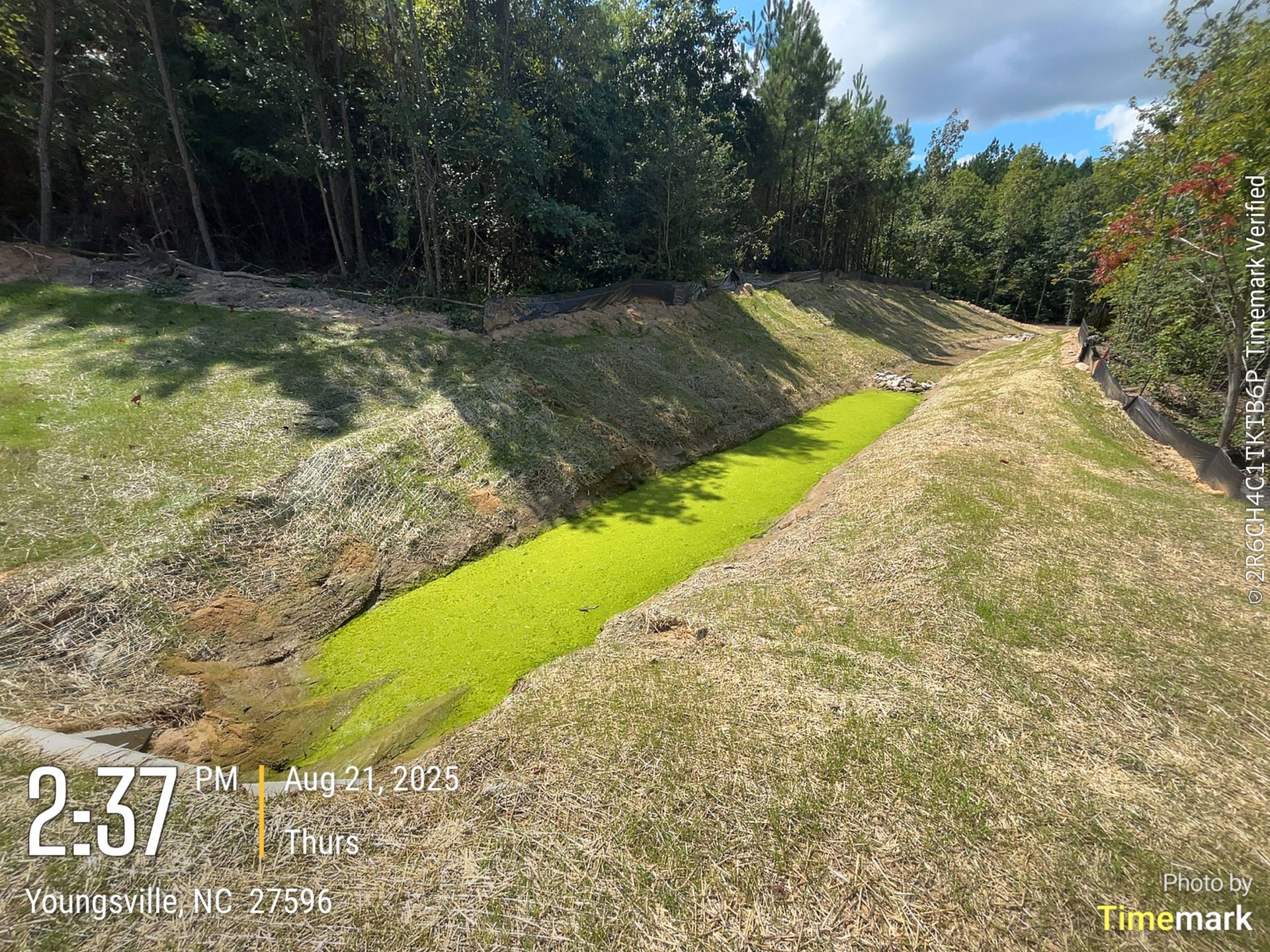 Ditch filled with green plants, grassy banks, trees in background, timestamp reads 2:37.
