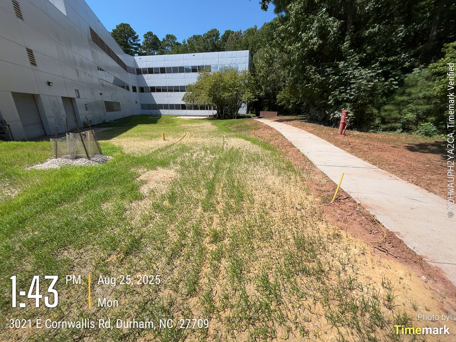Grassy area with a sidewalk next to a building. A small tree is in the center.