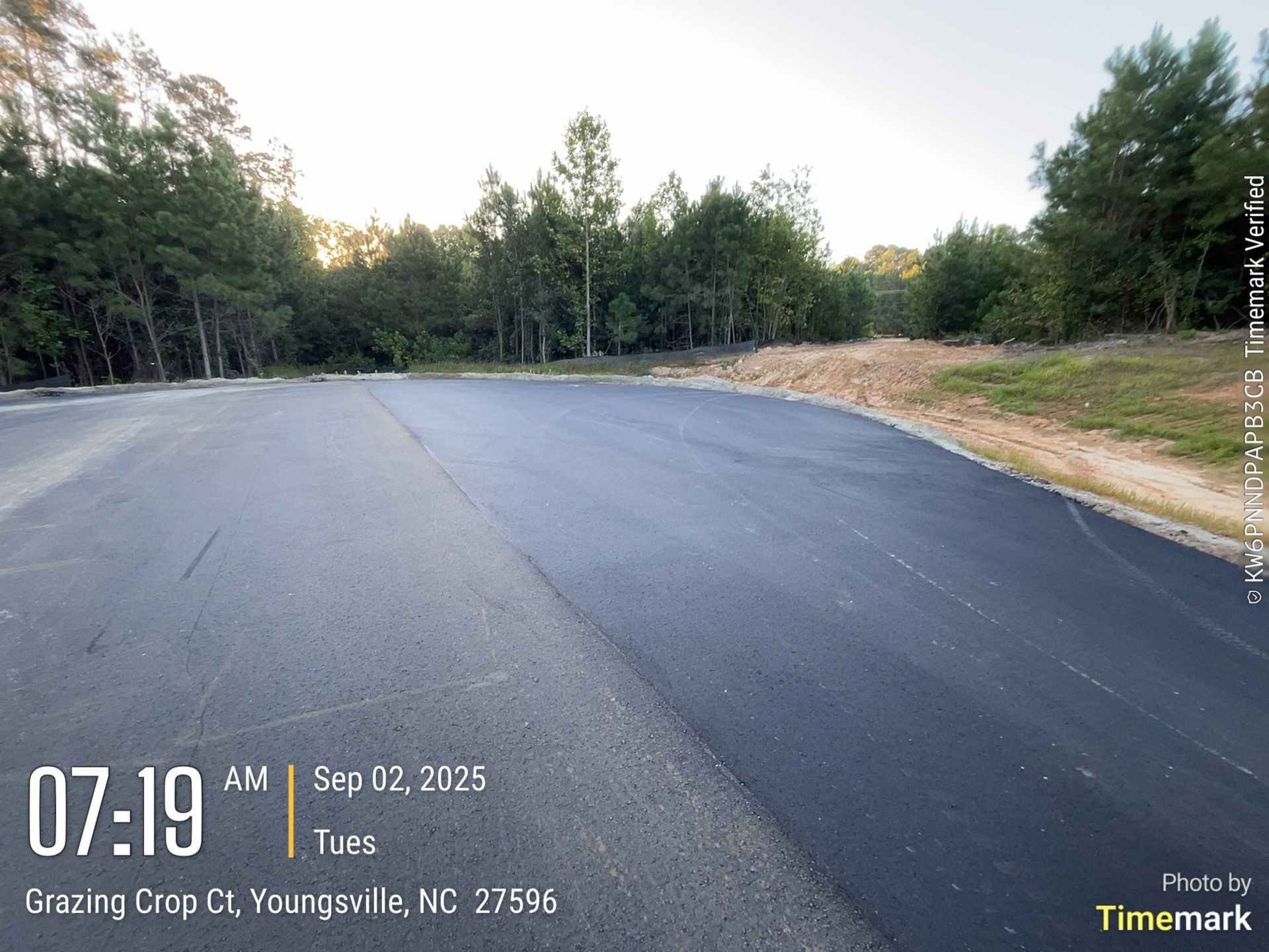 Asphalt road curves through wooded area at sunrise; Youngsville, NC.