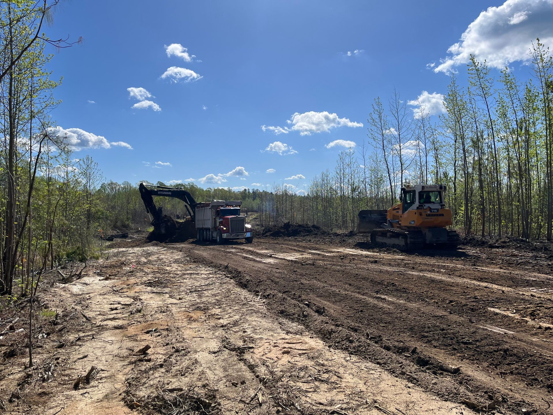 Two excavators clearing a path in a forest under a blue sky with clouds.