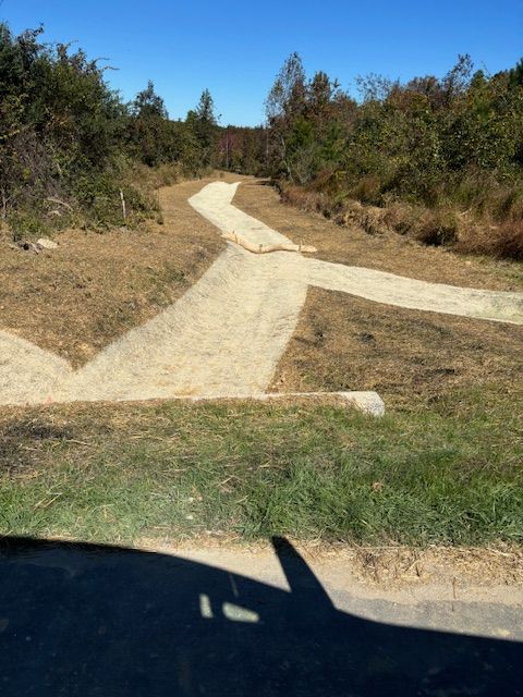 A gravel path splits into multiple directions in a sunny, outdoor setting.