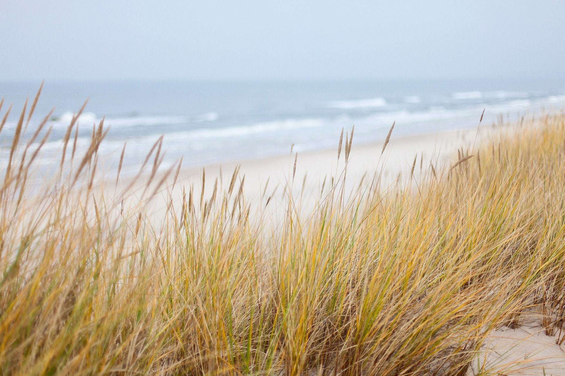 strand Westland