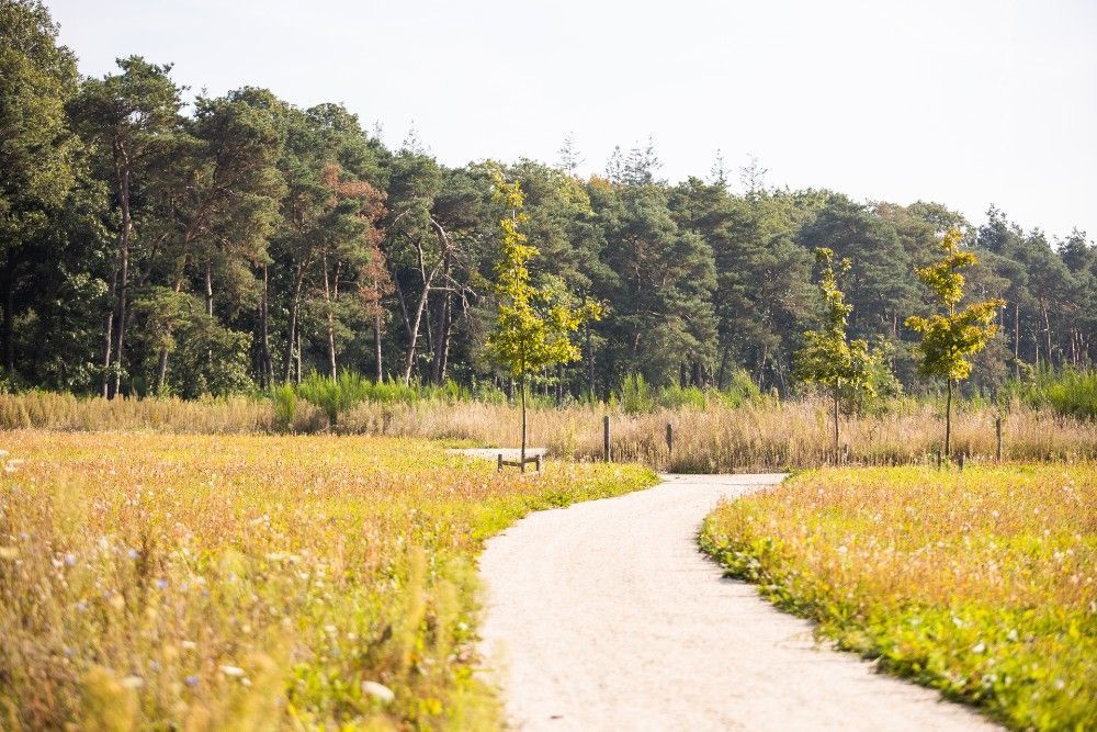 Natuurbegraafplaats Heidepol