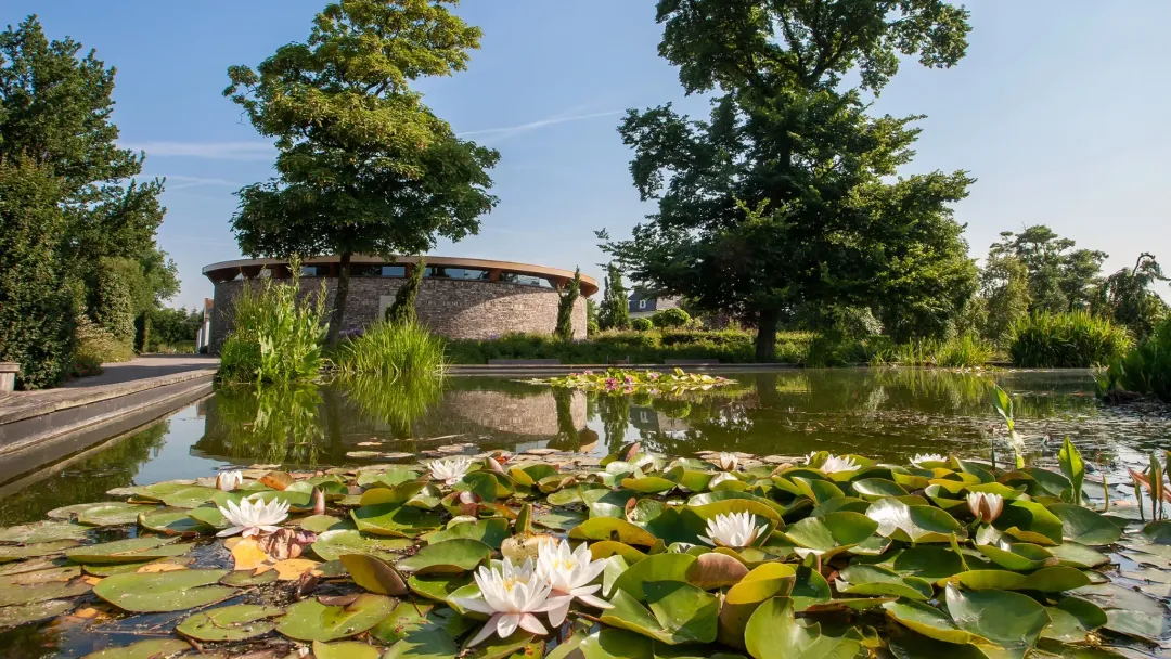 Vijver met waterlelies Begraafplaats Beukenhage in 's-Gravenzande