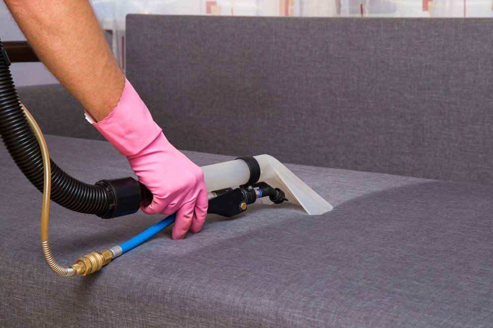 Sofa Cleaning — Winter Garden, FL — Andres Professional Services
