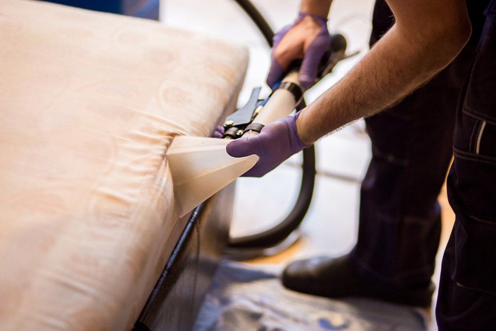 Sofa Disinfecting — Winter Garden, FL — Andres Professional Services