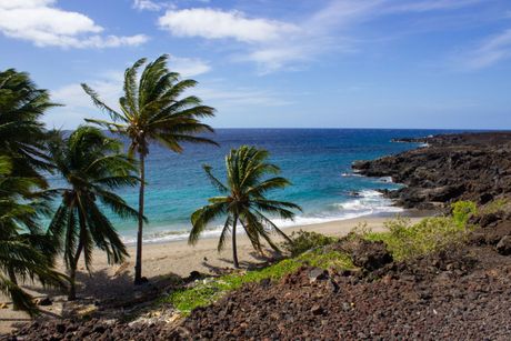 Beach scene with palm trees, turquoise water, and black lava rocks under a blue sky.