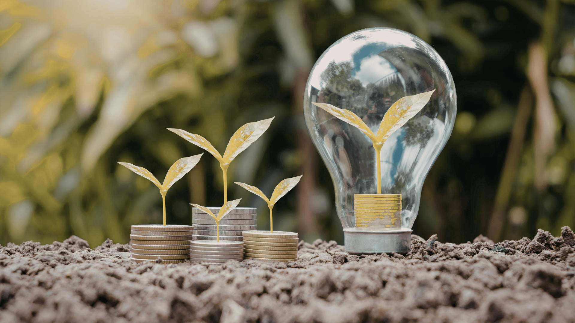 Stacks of coins with sprouts, and a lightbulb with sprouts and coins inside — OzEnergi in Caloundra West, QLD