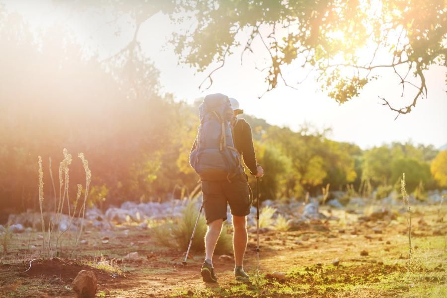 Paradise Valley Conservation Area