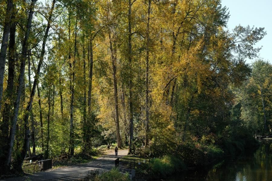 Sammamish River Trail