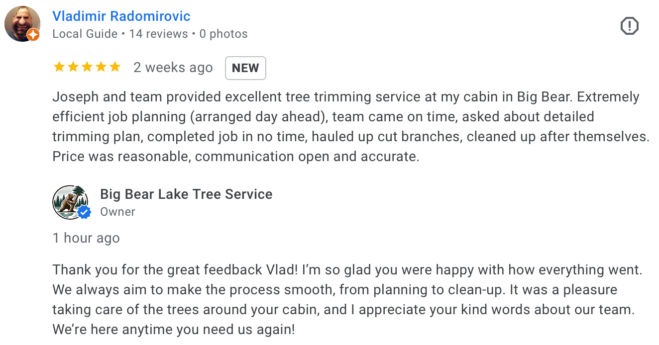 Review highlighting great communication and quality arborist services in Big Bear Lake.