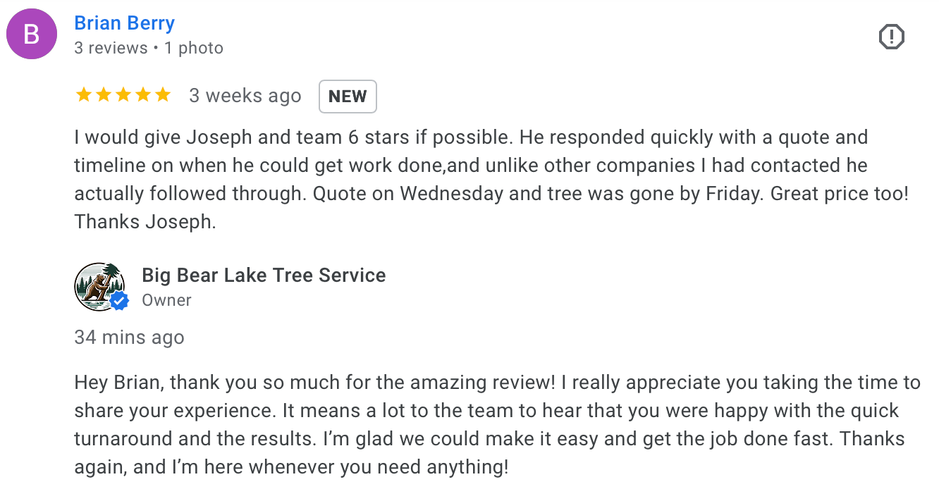 Positive feedback on tree pruning and cleanup by Big Bear Lake Tree Service.