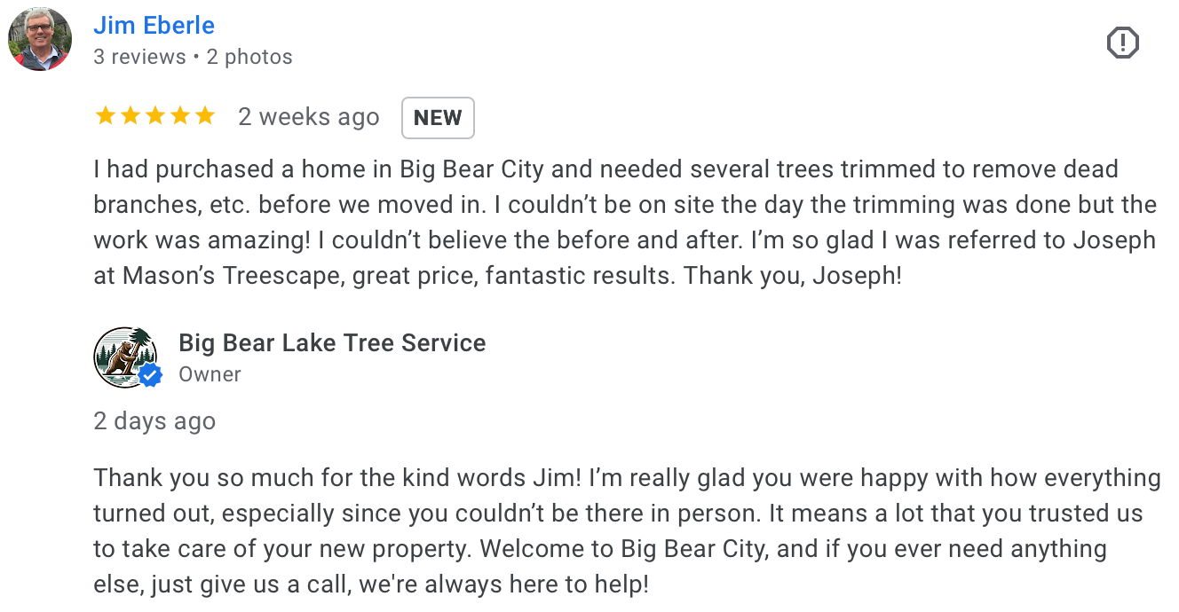 Customer testimonial about safe and professional tree removal in Big Bear Lake.
