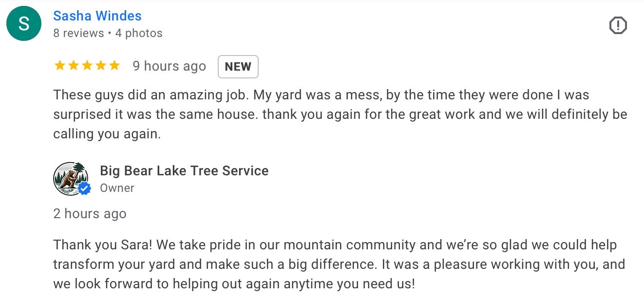 Screenshot of a customer praising Big Bear Lake Tree Service for fast response and excellent work.