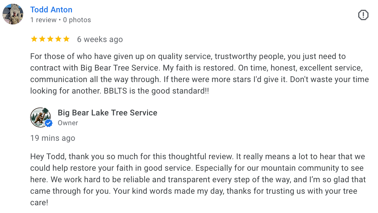 Testimonial describing excellent tree work and reliable service in Big Bear Lake.