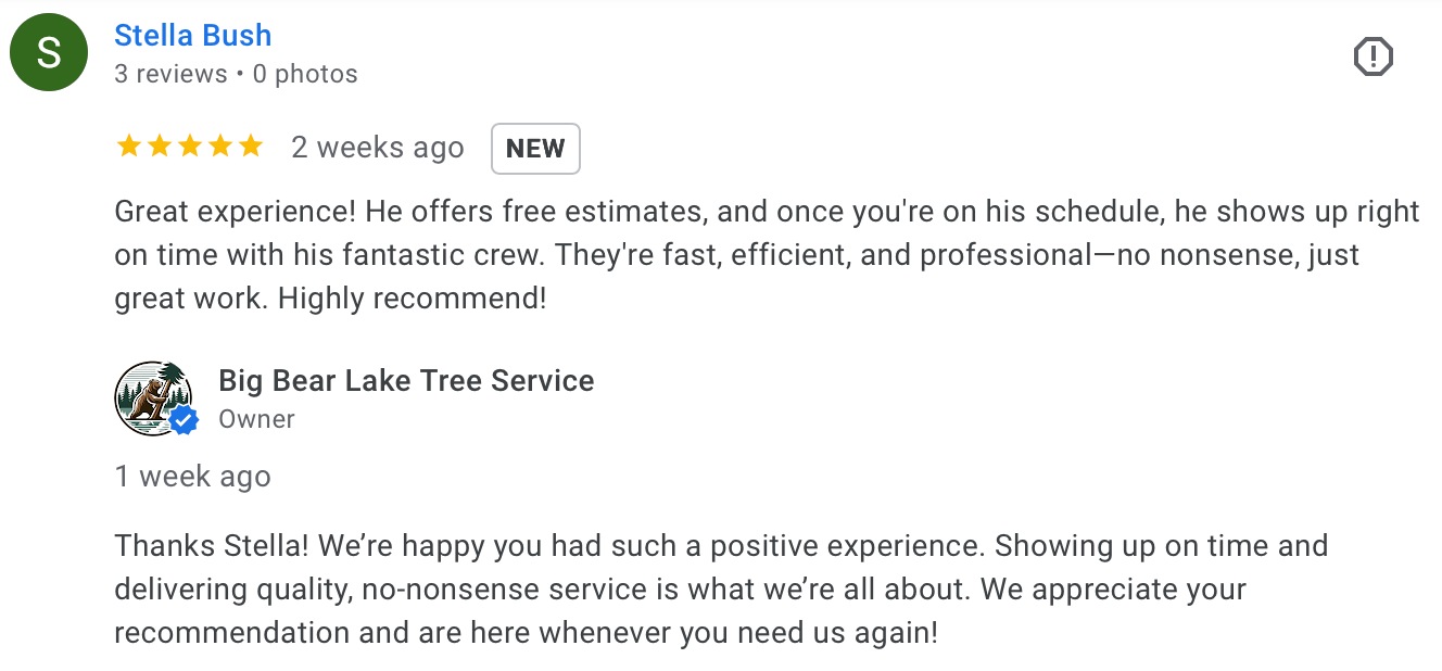 Customer testimonial about Lake Arrowhead arborist services highlighting great communication and clean-up.