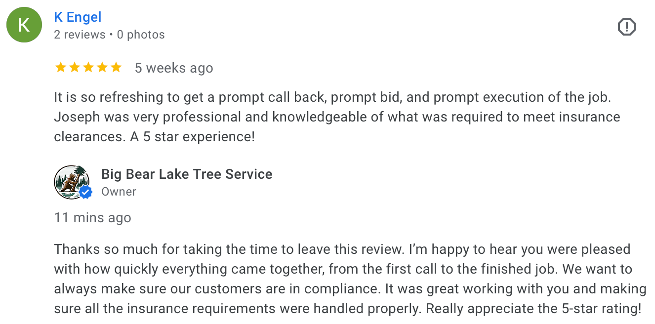 Five-star testimonial for safe and efficient tree removal in Lake Arrowhead, California.